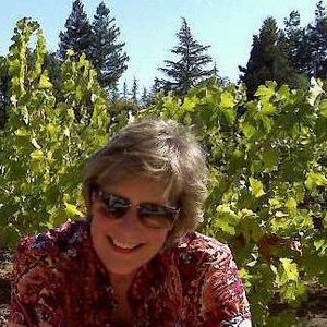 Meet your Posher, Hollyanne